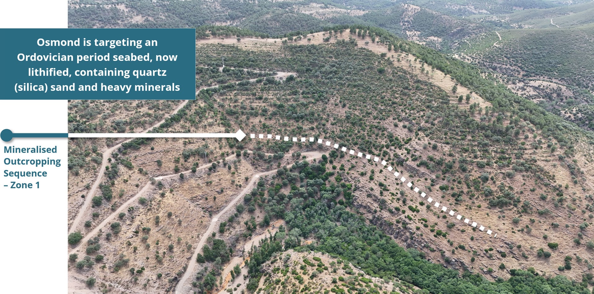 Mineralised outcropping at the Orión Project