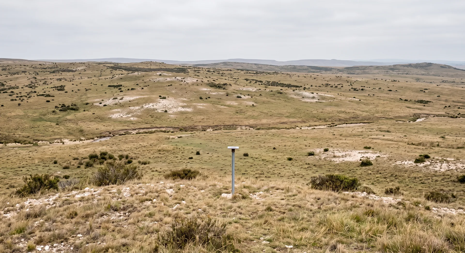 Rolling dry upland under coarse grass and low scrub with pale stony patches, a slim plain survey post standing small in the middle ground.